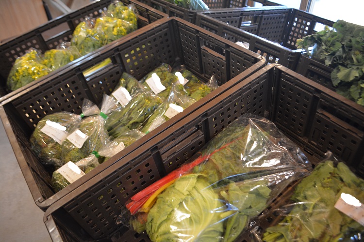 4月5日(日)のみんなの直売！