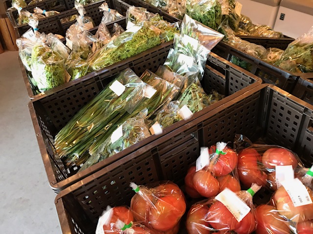 4月11日(土)のみんなの直売！