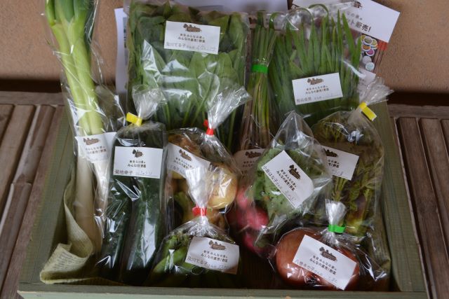 5月16日（土）に出荷した野菜はコチラです！