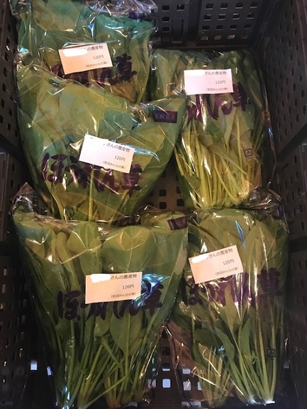 5月30日(土)のみんなの直売！