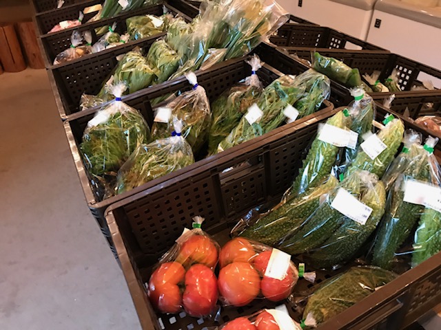 10月17日(土)のみんなの直売！