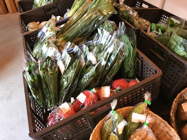 10月31日(土)のみんなの直売！