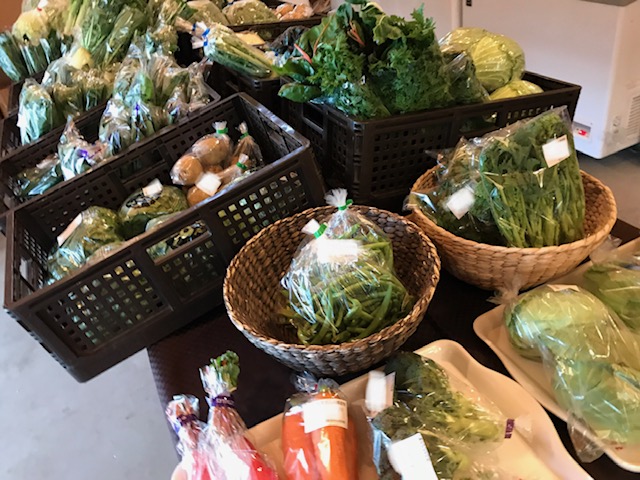 11月21日(土)のみんなの直売！