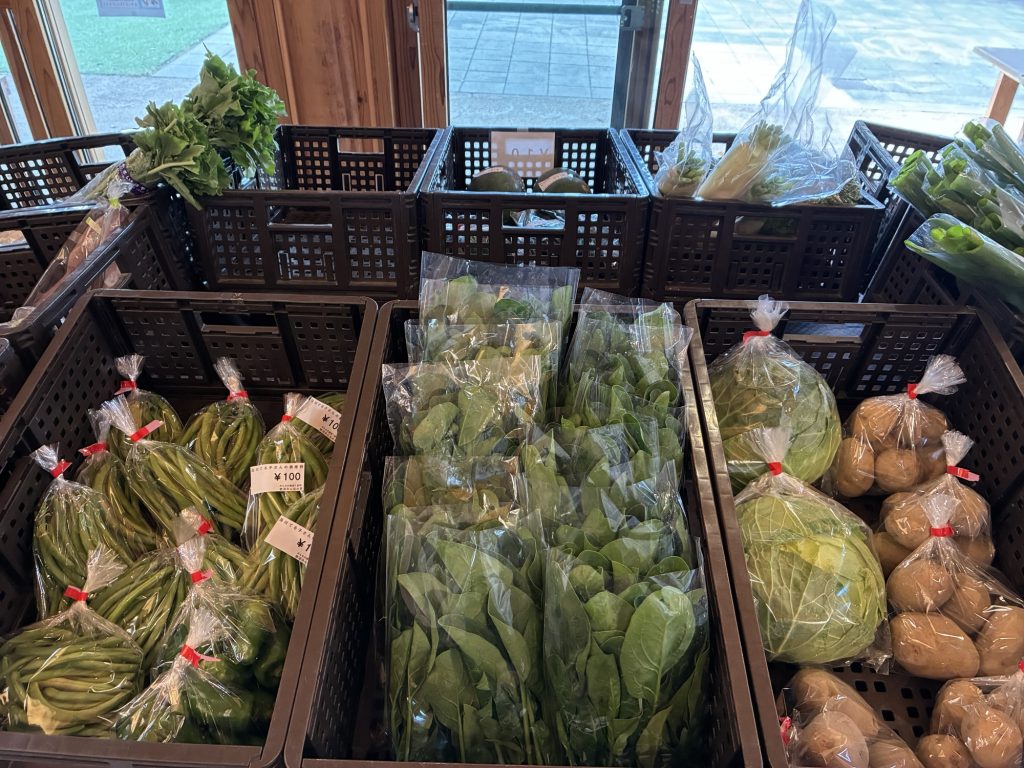 11月15日(土)みんなの直売！