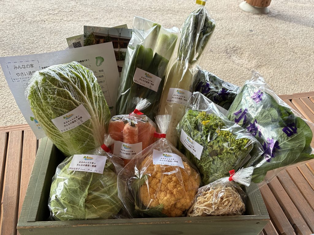 1月10日（土）にネット販売・ふるさと納税で発送した野菜はコチラです！