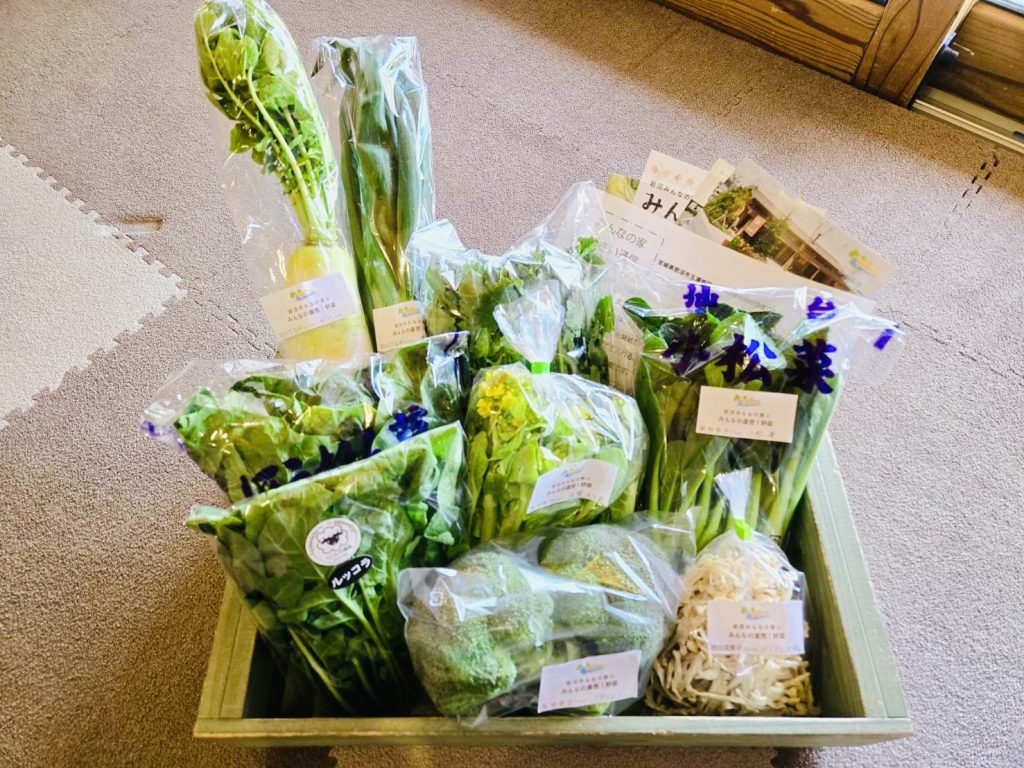 3月21日（土）にネット販売・ふるさと納税で発送した野菜はコチラです！