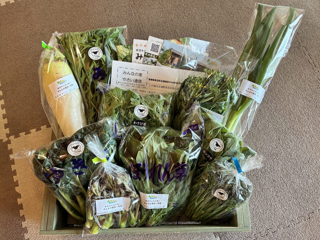 4月18日（土）にネット販売・ふるさと納税で発送した野菜はコチラです！